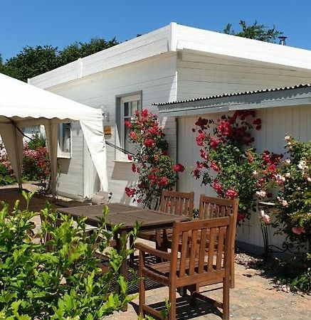 Ferienbungalow Haus Am Teich 博尔滕哈根 外观 照片