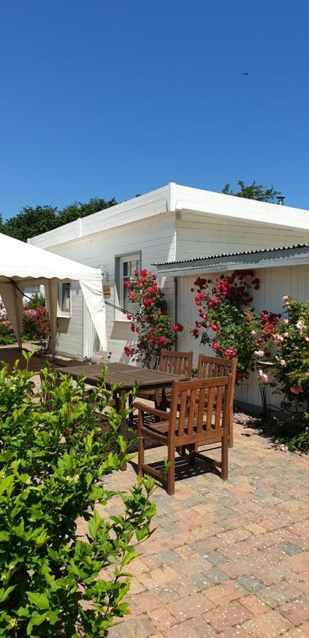 Ferienbungalow Haus Am Teich 博尔滕哈根 外观 照片