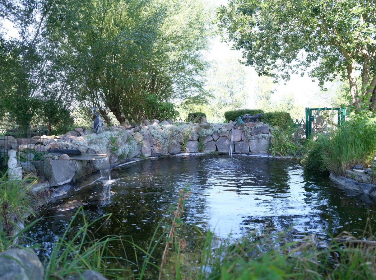 Ferienbungalow Haus Am Teich 博尔滕哈根 外观 照片